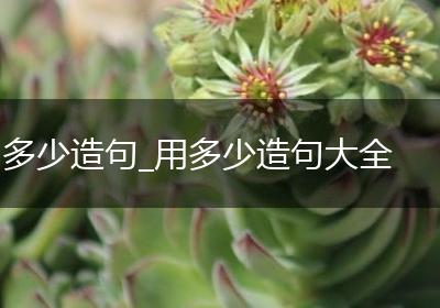 多少造句_用多少造句大全