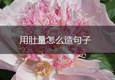 用肚量怎么造句子