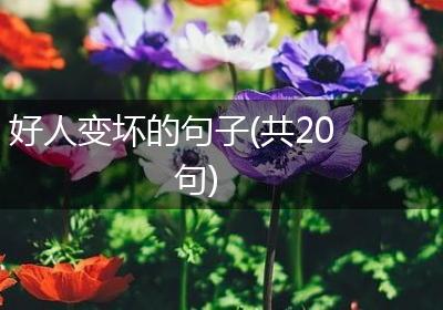 好人变坏的句子(共20句)