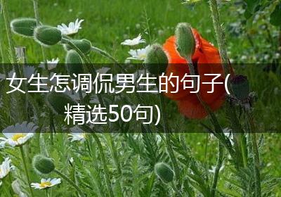 女生怎调侃男生的句子(精选50句)