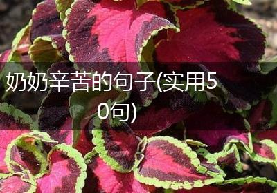 奶奶辛苦的句子(实用50句)