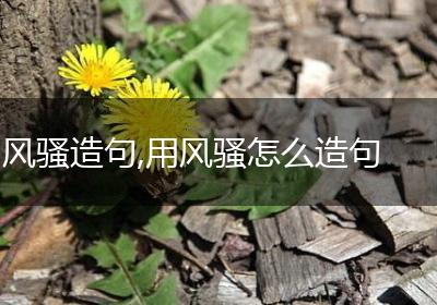 风骚造句,用风骚怎么造句