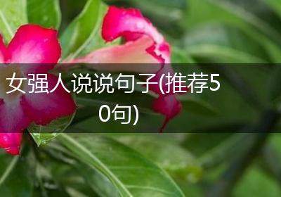 女强人说说句子(推荐50句)