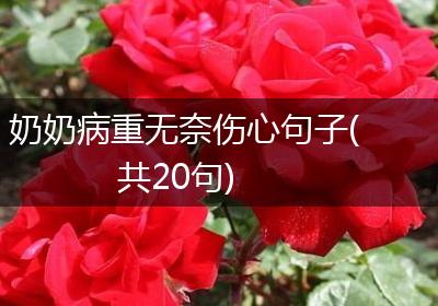 奶奶病重无奈伤心句子(共20句)