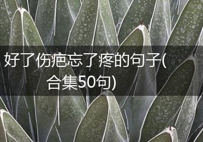 好了伤疤忘了疼的句子(合集50句)