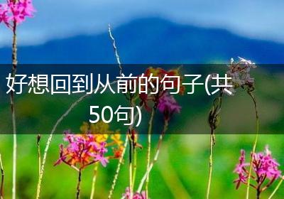 好想回到从前的句子(共50句)