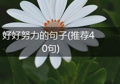 好好努力的句子(推荐40句)