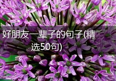 好朋友一辈子的句子(精选50句)