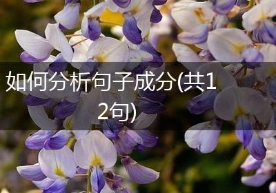 如何分析句子成分(共12句)