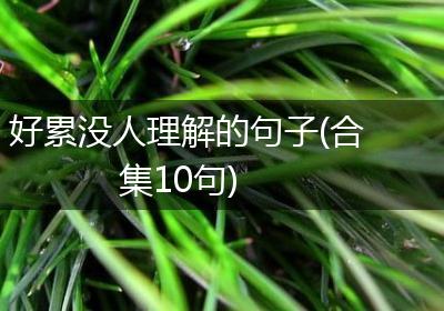 好累没人理解的句子(合集10句)
