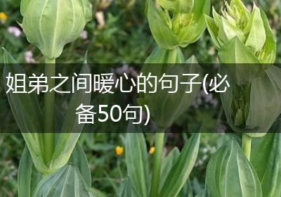 姐弟之间暖心的句子(必备50句)