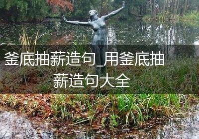 釜底抽薪造句_用釜底抽薪造句大全