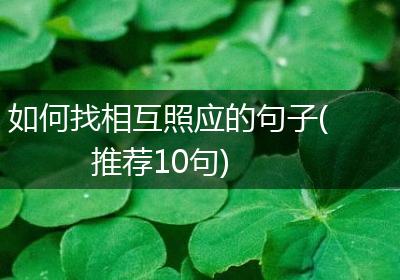 如何找相互照应的句子(推荐10句)