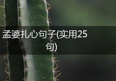 孟婆扎心句子(实用25句)