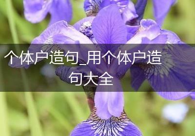 个体户造句_用个体户造句大全