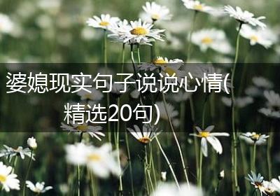 婆媳现实句子说说心情(精选20句)
