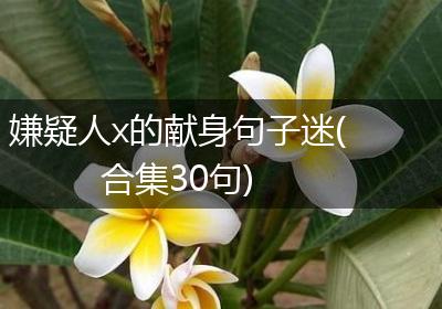 嫌疑人x的献身句子迷(合集30句)