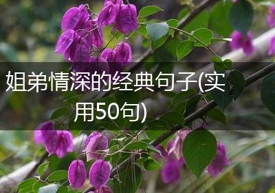 姐弟情深的经典句子(实用50句)