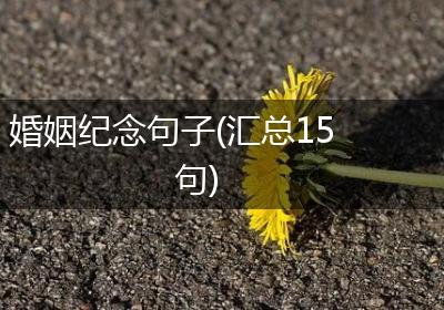 婚姻纪念句子(汇总15句)