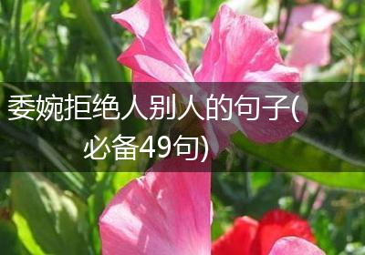 委婉拒绝人别人的句子(必备49句)