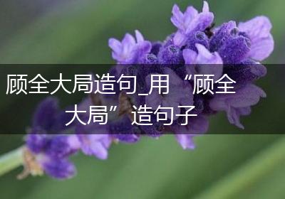 顾全大局造句_用“顾全大局”造句子