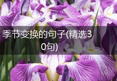 季节变换的句子(精选30句)