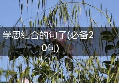 学思结合的句子(必备20句)