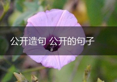 公开造句 公开的句子