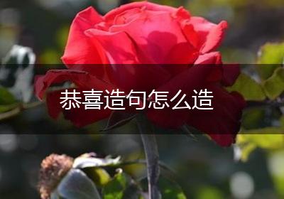 恭喜造句怎么造