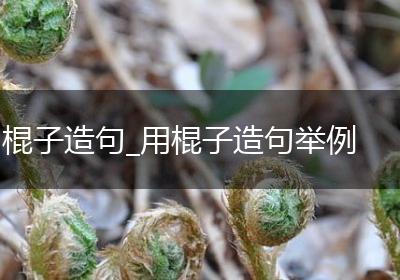 棍子造句_用棍子造句举例