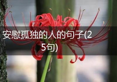 安慰孤独的人的句子(25句)