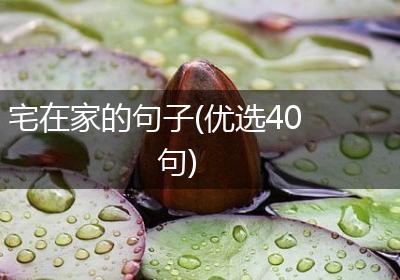 宅在家的句子(优选40句)