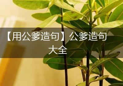 【用公爹造句】公爹造句大全