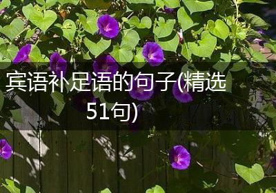 宾语补足语的句子(精选51句)