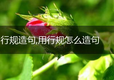 行规造句,用行规怎么造句