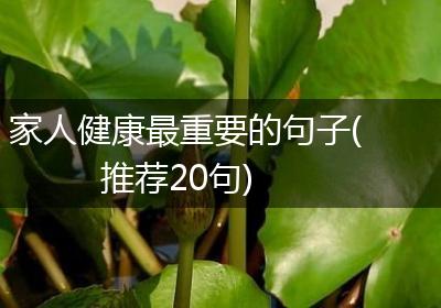 家人健康最重要的句子(推荐20句)