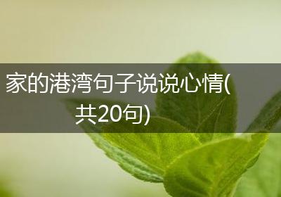 家的港湾句子说说心情(共20句)