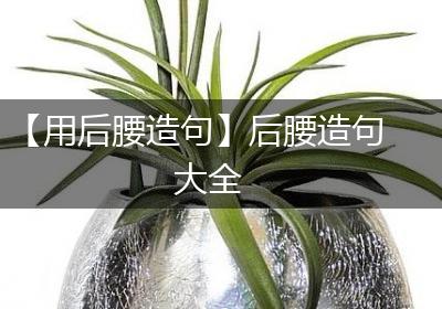 【用后腰造句】后腰造句大全