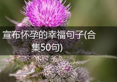 宣布怀孕的幸福句子(合集50句)