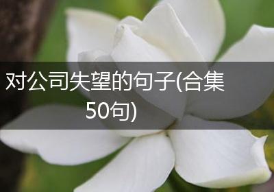 对公司失望的句子(合集50句)