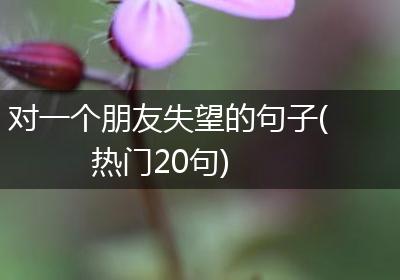 对一个朋友失望的句子(热门20句)