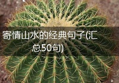 寄情山水的经典句子(汇总50句)