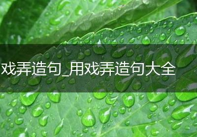 戏弄造句_用戏弄造句大全