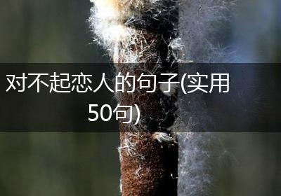 对不起恋人的句子(实用50句)