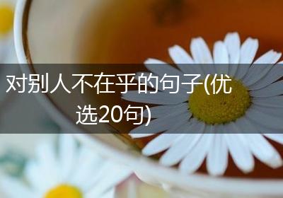 对别人不在乎的句子(优选20句)
