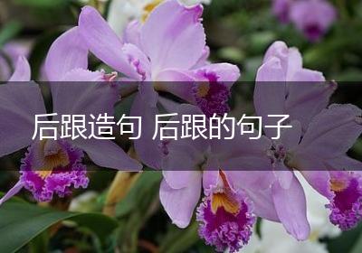 后跟造句 后跟的句子