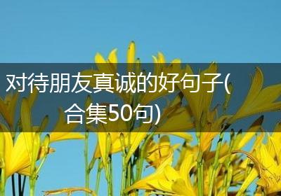 对待朋友真诚的好句子(合集50句)