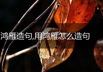 鸿雁造句,用鸿雁怎么造句