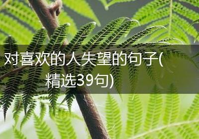 对喜欢的人失望的句子(精选39句)