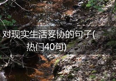 对现实生活妥协的句子(热门40句)
